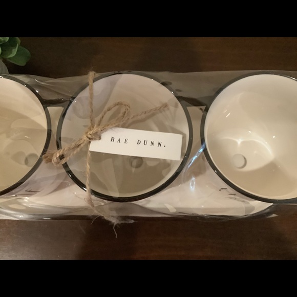Rae Dunn HOME Planter Trio & Tray 🌱 - Picture 4 of 7
